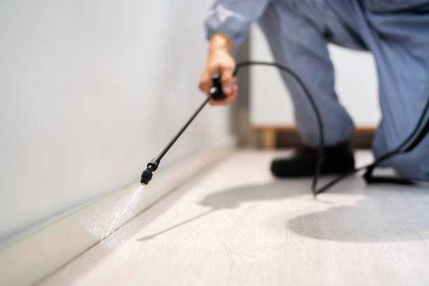 Licensed Exterminator service in Sansom Park, TX - Show Me Pest Control