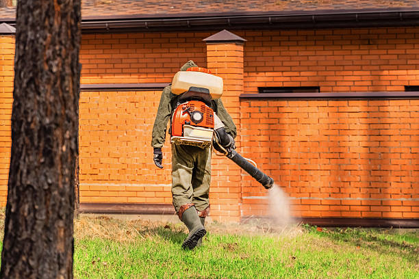 Bed Bug Clearance Verification and Documentation in Sansom Park